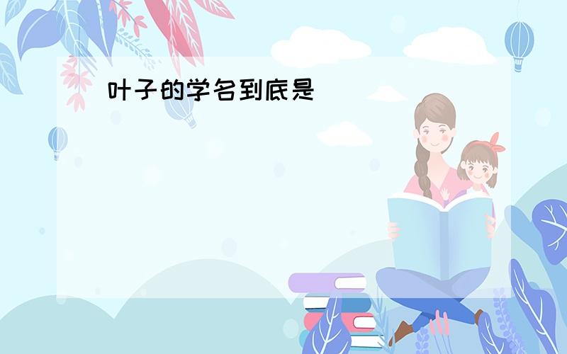 叶子的学名到底是