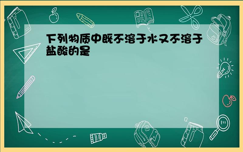 下列物质中既不溶于水又不溶于盐酸的是