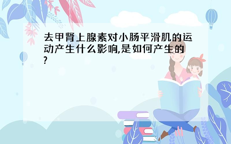 去甲肾上腺素对小肠平滑肌的运动产生什么影响,是如何产生的?