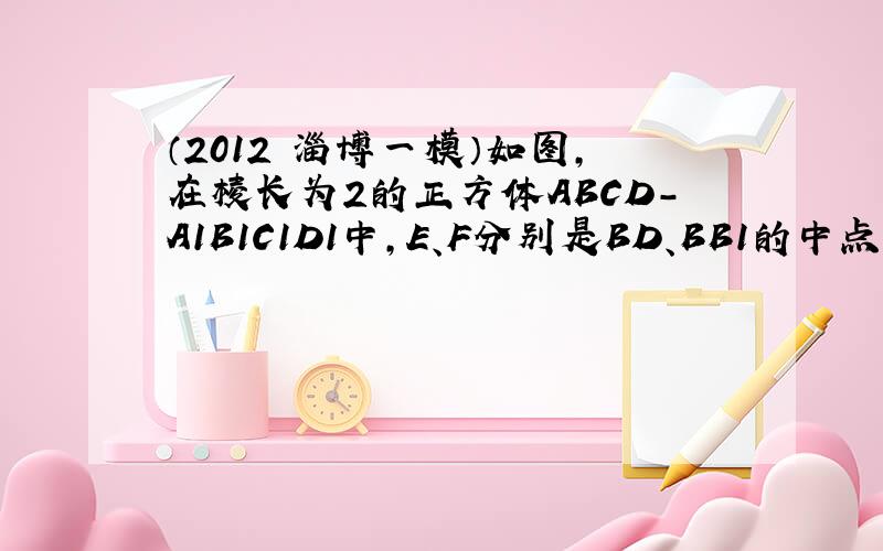 （2012•淄博一模）如图，在棱长为2的正方体ABCD-A1B1C1D1中，E、F分别是BD、BB1的中点．