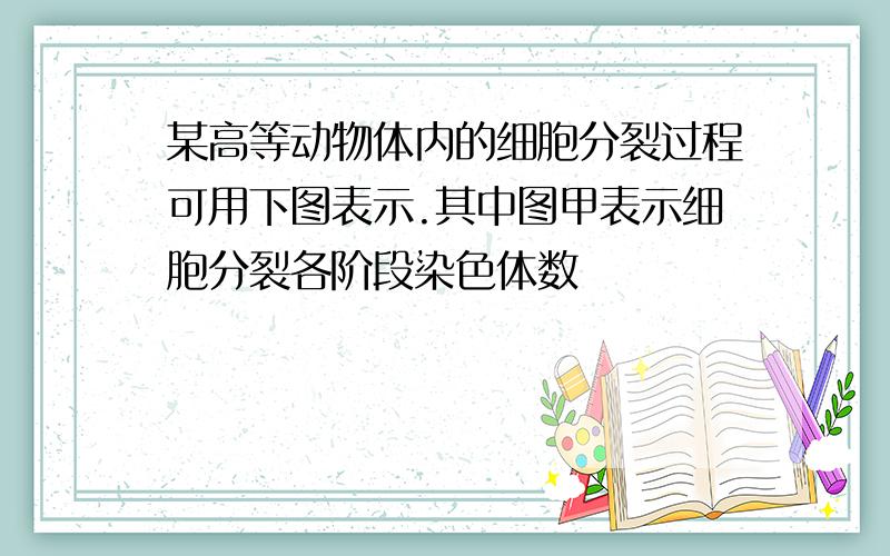 某高等动物体内的细胞分裂过程可用下图表示.其中图甲表示细胞分裂各阶段染色体数