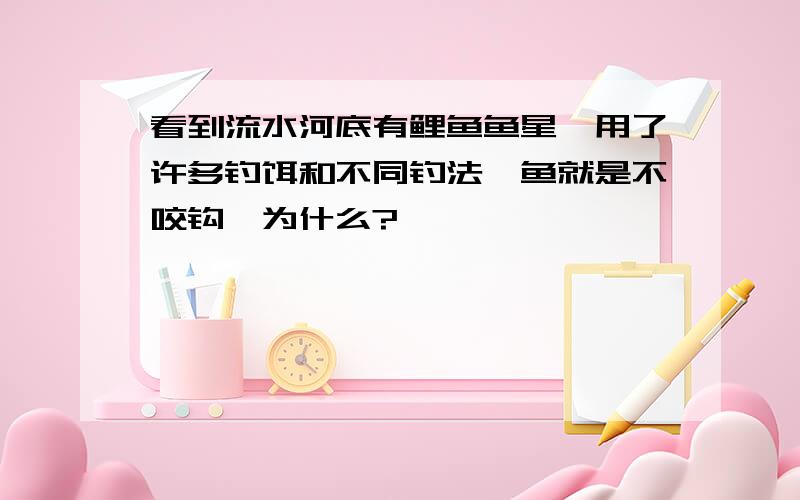 看到流水河底有鲤鱼鱼星,用了许多钓饵和不同钓法,鱼就是不咬钩,为什么?