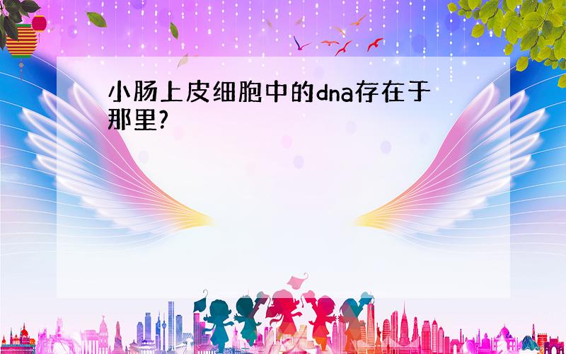 小肠上皮细胞中的dna存在于那里?