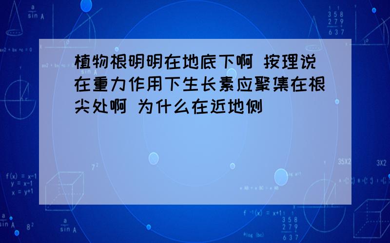 植物根明明在地底下啊 按理说在重力作用下生长素应聚集在根尖处啊 为什么在近地侧