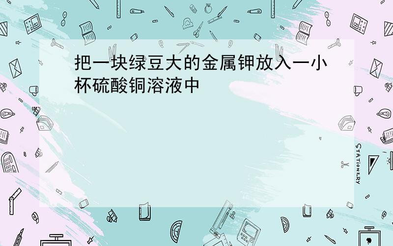 把一块绿豆大的金属钾放入一小杯硫酸铜溶液中