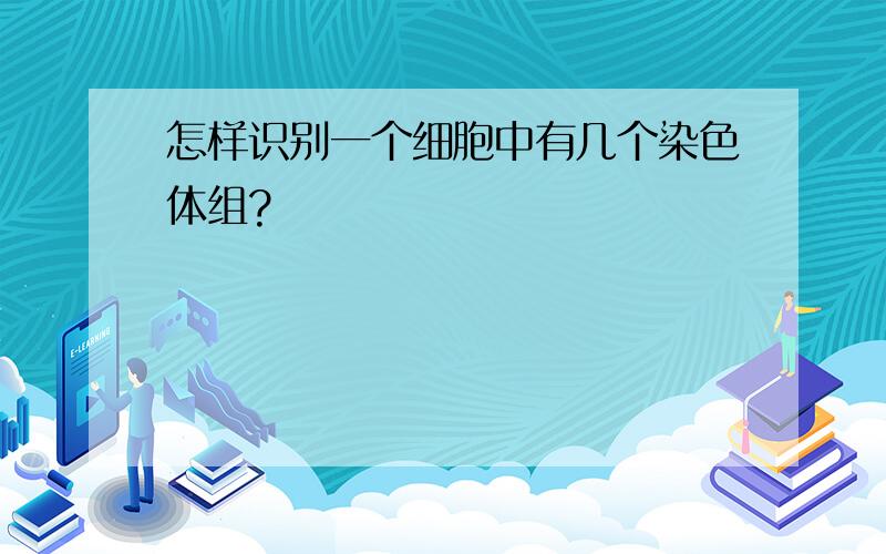 怎样识别一个细胞中有几个染色体组?