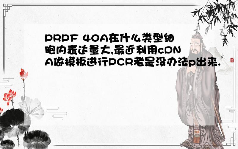 PRPF 40A在什么类型细胞内表达量大,最近利用cDNA做模板进行PCR老是没办法p出来.