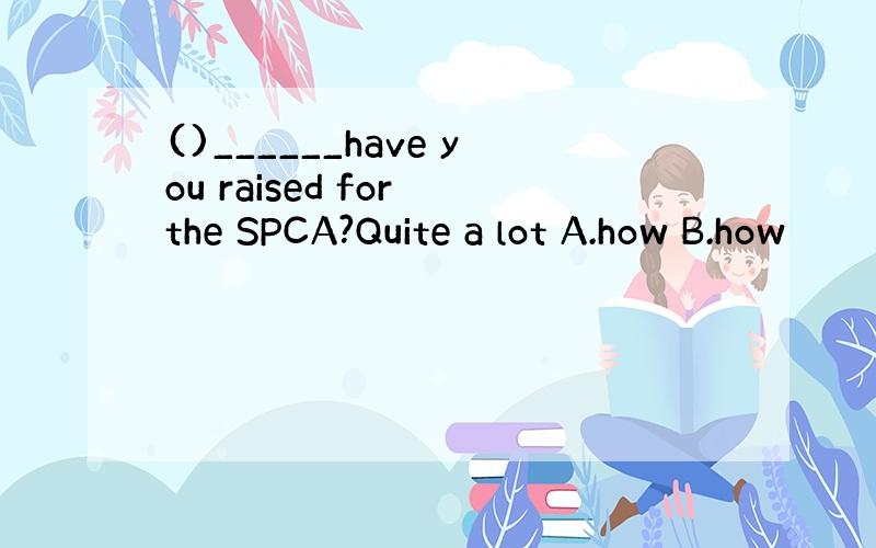 ()______have you raised for the SPCA?Quite a lot A.how B.how