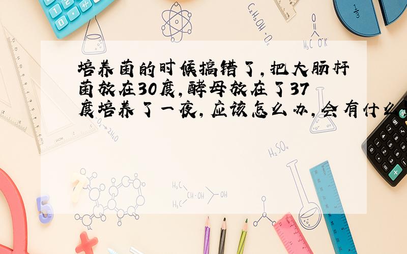 培养菌的时候搞错了,把大肠杆菌放在30度,酵母放在了37度培养了一夜,应该怎么办,会有什么影响.