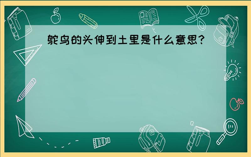 鸵鸟的头伸到土里是什么意思?