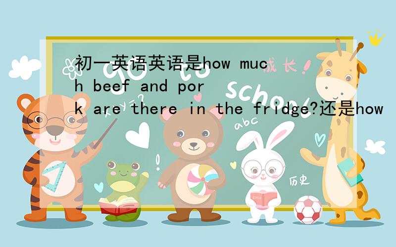 初一英语英语是how much beef and pork are there in the fridge?还是how