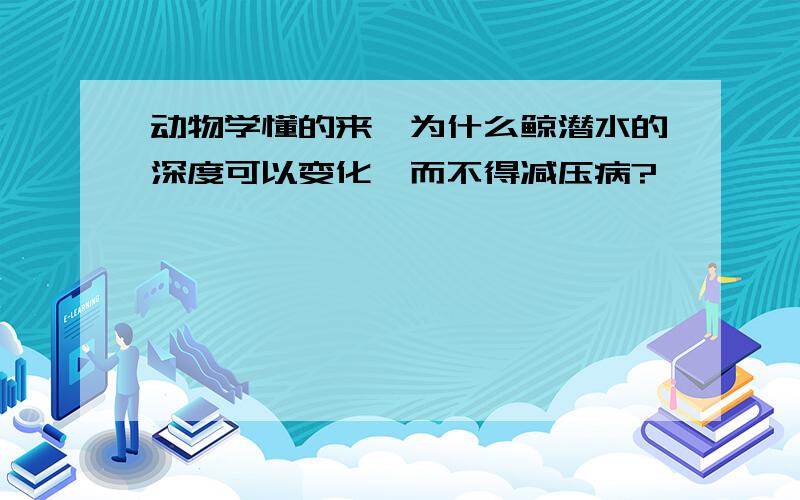 动物学懂的来,为什么鲸潜水的深度可以变化,而不得减压病?