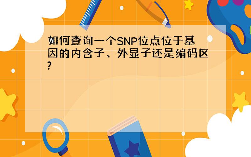 如何查询一个SNP位点位于基因的内含子、外显子还是编码区?