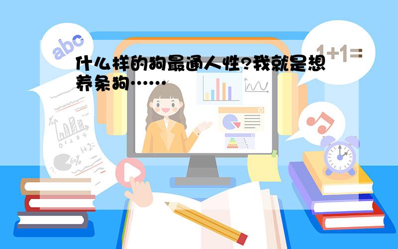 什么样的狗最通人性?我就是想养条狗……