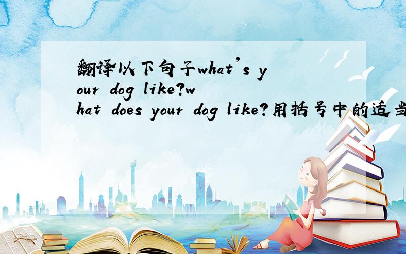 翻译以下句子what's your dog like?what does your dog like?用括号中的适当形式