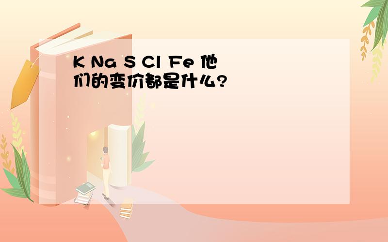 K Na S Cl Fe 他们的变价都是什么?