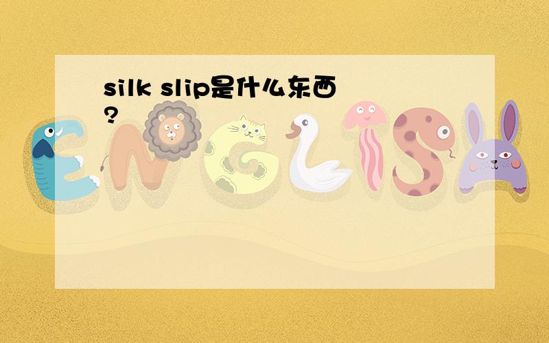 silk slip是什么东西?