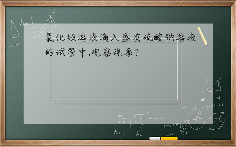 氯化钡溶液滴入盛有硫酸钠溶液的试管中,观察现象?