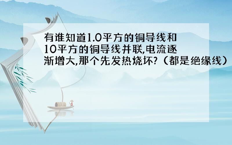 有谁知道1.0平方的铜导线和10平方的铜导线并联,电流逐渐增大,那个先发热烧坏?（都是绝缘线）