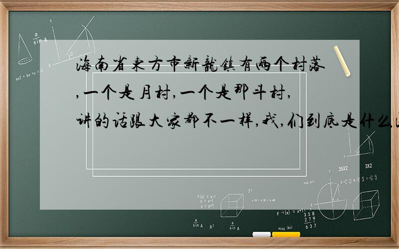 海南省东方市新龙镇有两个村落,一个是月村,一个是那斗村,讲的话跟大家都不一样,我,们到底是什么民族