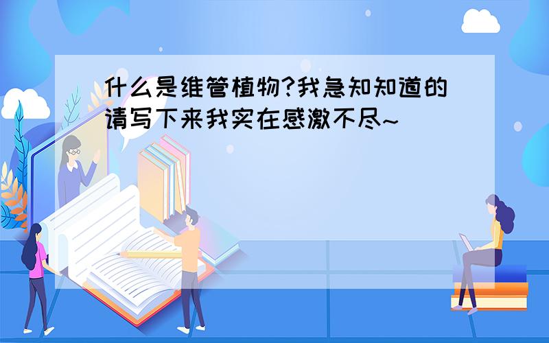 什么是维管植物?我急知知道的请写下来我实在感激不尽~