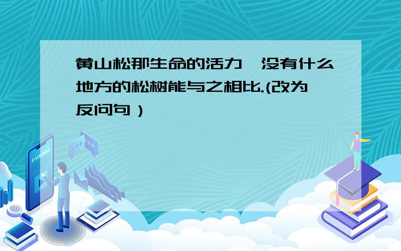 黄山松那生命的活力,没有什么地方的松树能与之相比.(改为反问句）