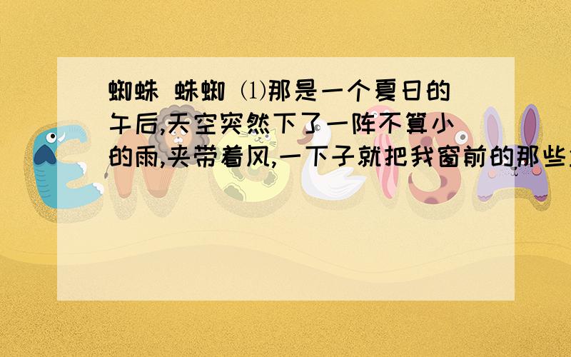 蜘蛛 蛛蜘 ⑴那是一个夏日的午后,天空突然下了一阵不算小的雨,夹带着风,一下子就把我窗前的那些盆花,淋得面目全非.泥水从