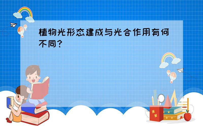 植物光形态建成与光合作用有何不同?