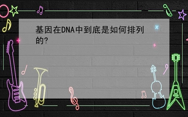 基因在DNA中到底是如何排列的?