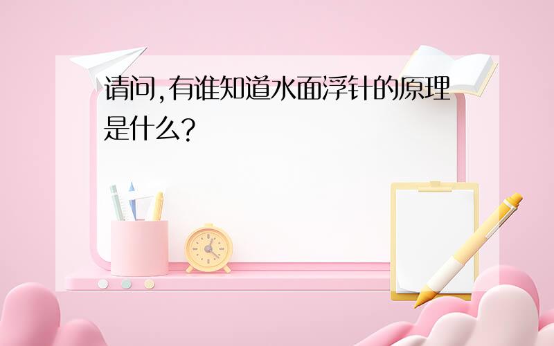 请问,有谁知道水面浮针的原理是什么?