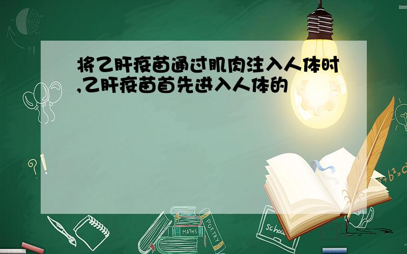 将乙肝疫苗通过肌肉注入人体时,乙肝疫苗首先进入人体的