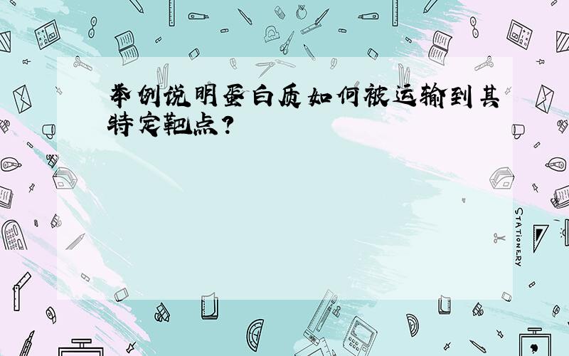 举例说明蛋白质如何被运输到其特定靶点?