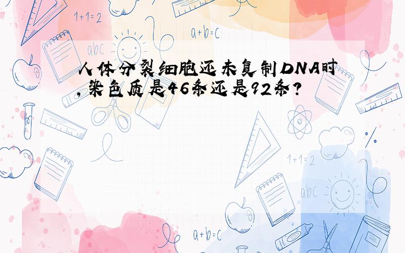 人体分裂细胞还未复制DNA时,染色质是46条还是92条?