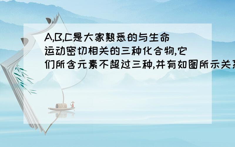 A,B,C是大家熟悉的与生命运动密切相关的三种化合物,它们所含元素不超过三种,并有如图所示关系