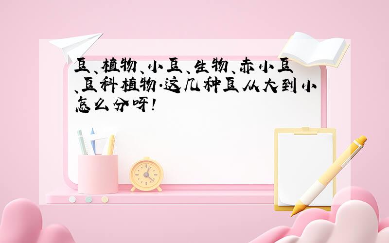 豆、植物、小豆、生物、赤小豆、豆科植物.这几种豆从大到小怎么分呀!