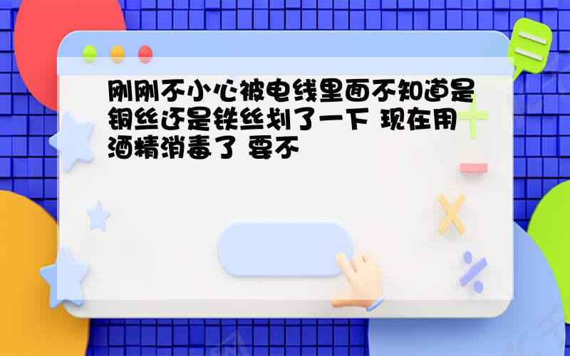 刚刚不小心被电线里面不知道是铜丝还是铁丝划了一下 现在用酒精消毒了 要不