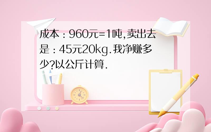 成本：960元=1吨,卖出去是：45元20kg.我净赚多少?以公斤计算.