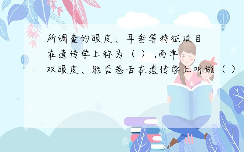 所调查的眼皮、耳垂等特征项目在遗传学上称为（ ） ,而单双眼皮、能否卷舌在遗传学上叫做（ ）