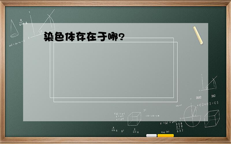 染色体存在于哪?