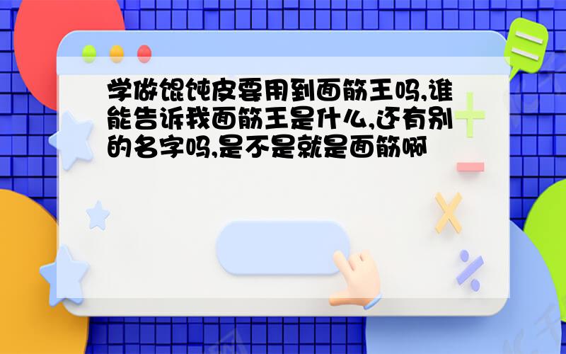 学做馄饨皮要用到面筋王吗,谁能告诉我面筋王是什么,还有别的名字吗,是不是就是面筋啊