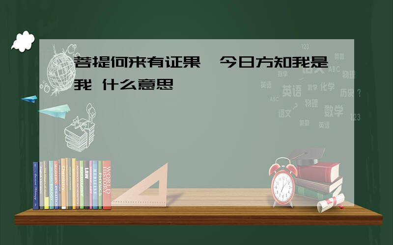 菩提何来有证果,今日方知我是我 什么意思