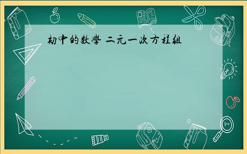 初中的数学 二元一次方程组