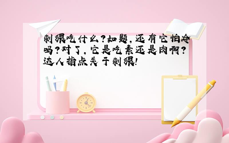 刺猥吃什么?如题,还有它怕冷吗?对了,它是吃素还是肉啊?达人指点关于刺猥!