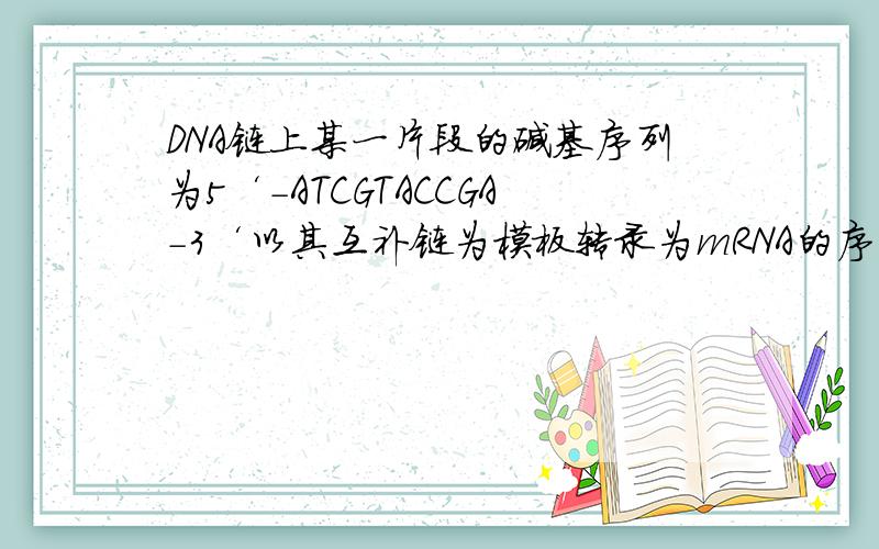 DNA链上某一片段的碱基序列为5‘-ATCGTACCGA-3‘以其互补链为模板转录为mRNA的序列为＿,这一DNS片段共