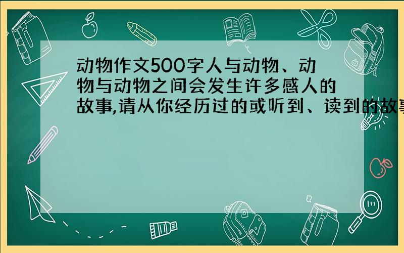 动物作文500字人与动物、动物与动物之间会发生许多感人的故事,请从你经历过的或听到、读到的故事中选择一个,把其中难忘的场