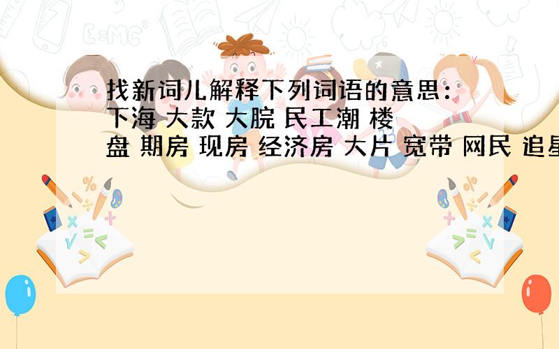 找新词儿解释下列词语的意思：下海 大款 大脘 民工潮 楼盘 期房 现房 经济房 大片 宽带 网民 追星族 打的 买单 运