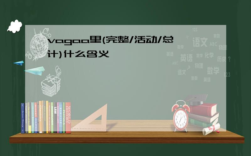 vagaa里(完整/活动/总计)什么含义