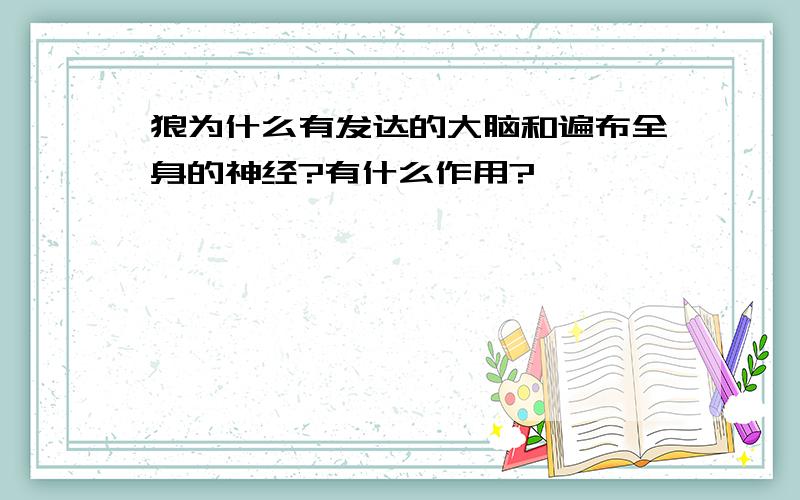 狼为什么有发达的大脑和遍布全身的神经?有什么作用?