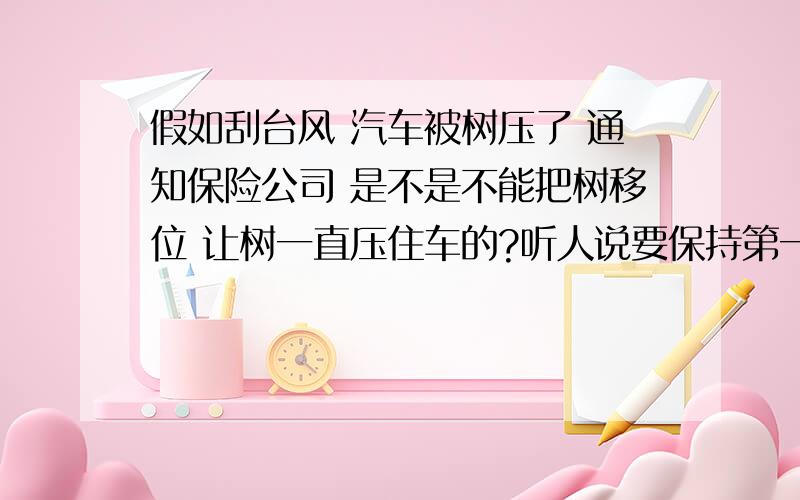 假如刮台风 汽车被树压了 通知保险公司 是不是不能把树移位 让树一直压住车的?听人说要保持第一现场 不然不给赔 是不是这