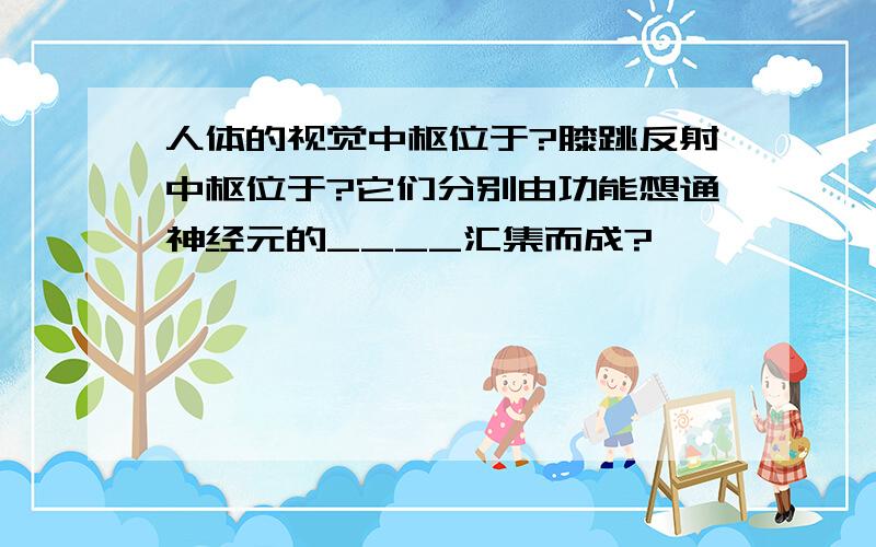 人体的视觉中枢位于?膝跳反射中枢位于?它们分别由功能想通神经元的____汇集而成?